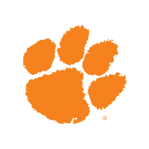 team logo 2