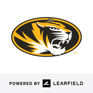 team logo 2