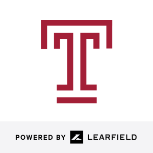 team logo 2