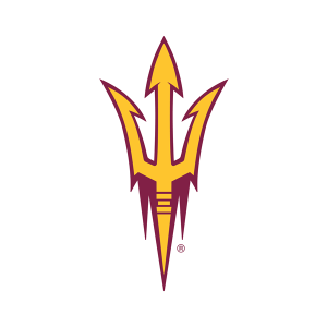 team logo 1