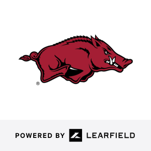 team logo 2