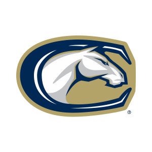 team logo 1