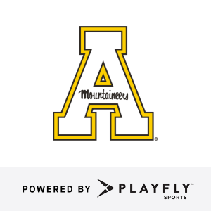 team logo 2