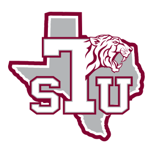 team logo 1