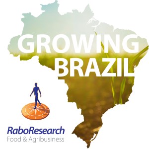 RaboResearch Food & Agribusiness Brazil-logo