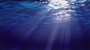 Therapist Uncensored Podcast