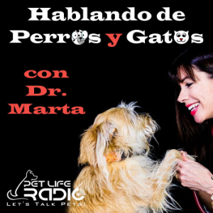 Hablando de Perros y Gatos con Dr. Marta- Pet Life Radio Original-logo