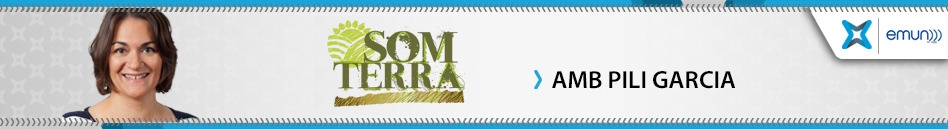 Som Terra - La Xarxa