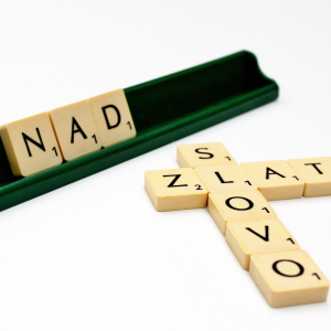 Slovo nad zlato-logo