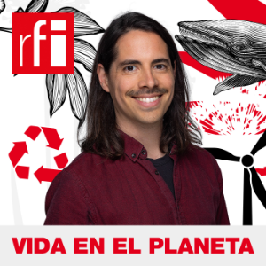 LIFE ON THE PLANET-logo