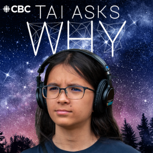 Tai Asks Why-logo