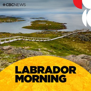 Labrador Morning-logo