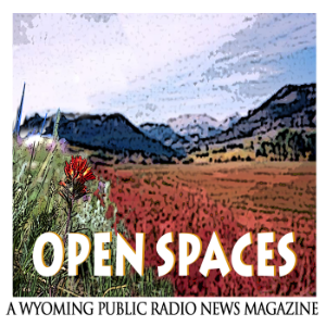 Open Spaces-logo