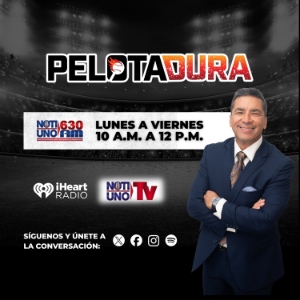 Pelota Dura