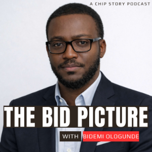 The Bid Picture with Bidemi Ologunde-logo