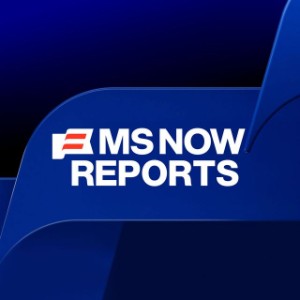 MS NOW Reports