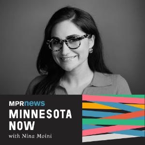 Minnesota Now-logo
