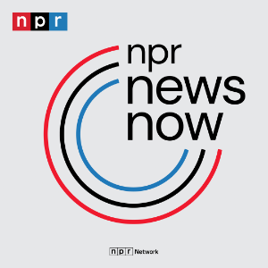 NPR News Now-logo