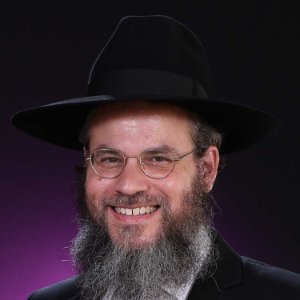 Shiurim From Rabbi Dovid Regensberg