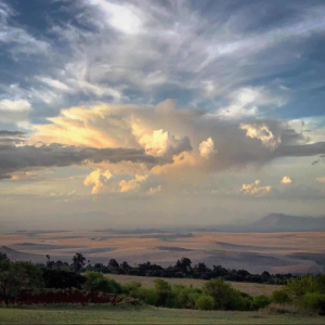 dikran’s Newsletter Podcast