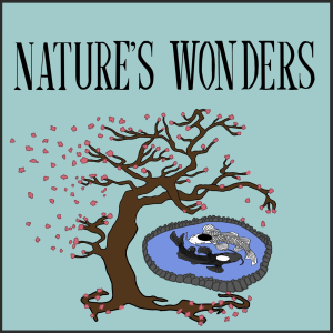 Nature’s Wonders-logo
