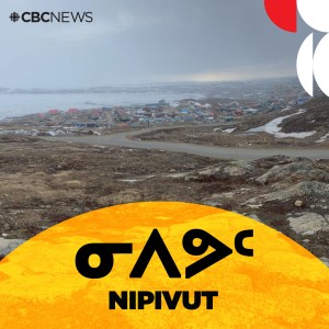 Nipivut