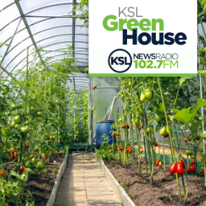 KSL Greenhouse-logo