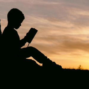 Chapter 33 (Flora and Ulysses by Kate DiCamillo)