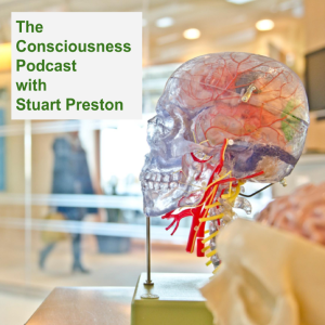 The Consciousness Podcast-logo