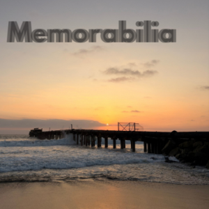 Episodio 2. Andrea Echeverria