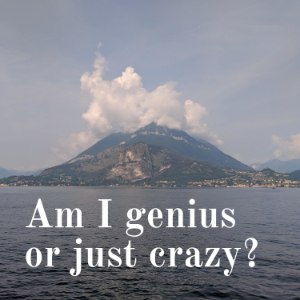 Am I genius or just crazy?-logo