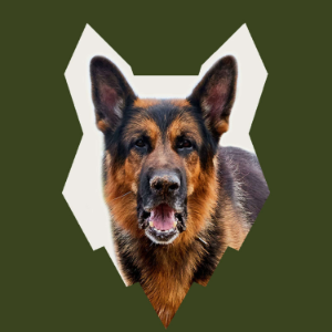 How Do I Introduce My GERMAN SHEPHERD PUPPY To My Family