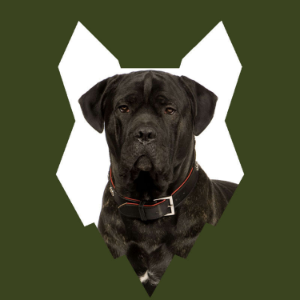 Fenrir Cane Corso Podcast-logo