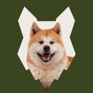 How Do I Introduce My AKITA To My Family