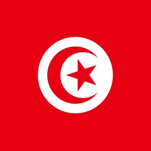 Tunisia Game Replays-logo