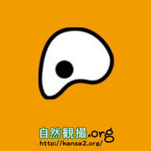 ????.org????????