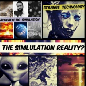 The Simulation Reality
