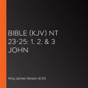 Bible (KJV) NT 23-25: 1, 2, & 3 John