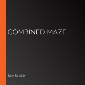 Combined Maze-logo