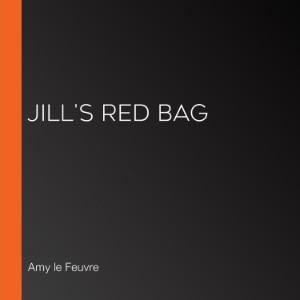 Jill's Red Bag