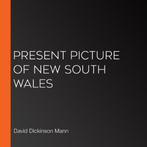 Present Picture of New South Wales