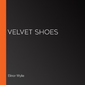 Velvet Shoes