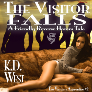 The Visitor Falls