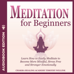 Meditation for Beginners-logo