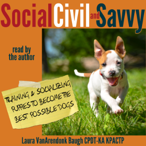 Social, Civil, and Savvy-logo