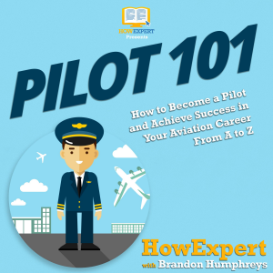 Pilot 101-logo