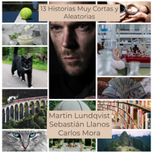 13 Historias Muy Cortas y Aleatorias
