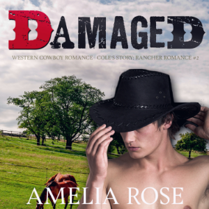 Damaged-logo