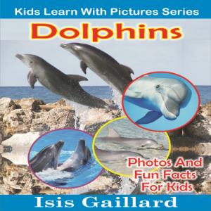 Dolphins-logo