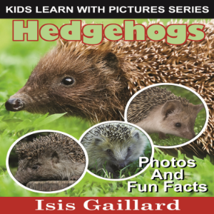 Hedgehogs-logo